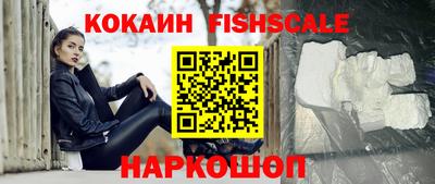 стафф Моздок