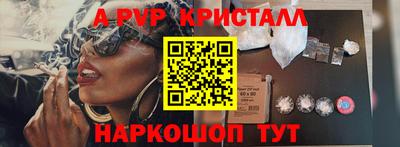 стафф Моздок