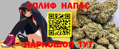 стафф Моздок