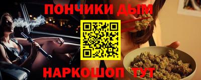гашик Можга