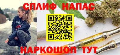 стафф Моздок