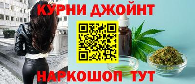 гашик Можга