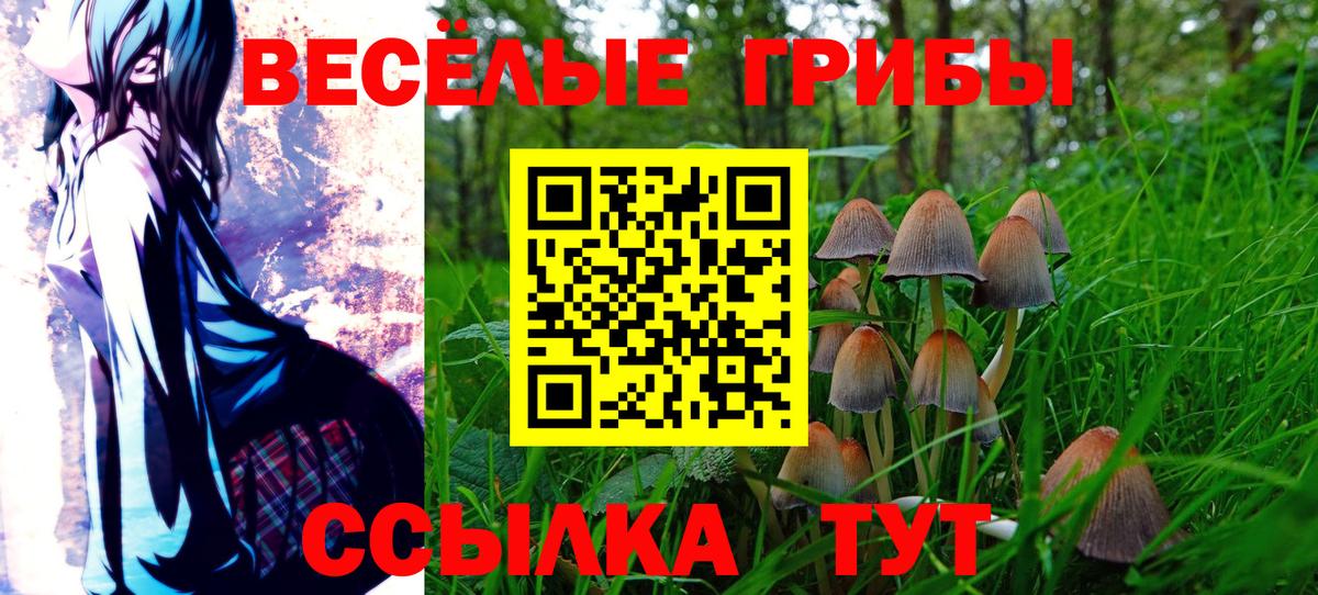 Феодосия  Псилоцибиновые грибы GOLDEN TEACHER  Вход с VPN  цена наркотик  Галлюциногенные грибы ЛСД 